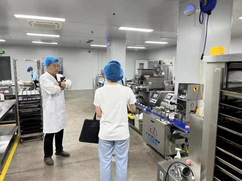 淄博淄川 四个提升助力食品生产企业高质效发展，电子产品技术开发与销售融合赋能